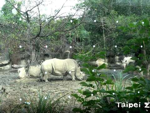 請大家到動物園參觀時，不要用手去摳玻璃面上的貼紙哦！