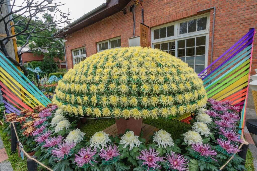 Shilin Residence Chrysanthemum Show 2021