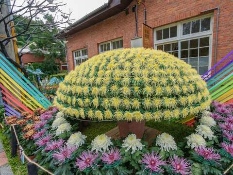 Shilin Residence Chrysanthemum Show 2021