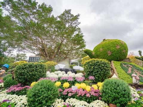 Shilin Residence Chrysanthemum Show 2021