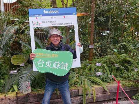 打卡活動照片-台東蘇鐵看板