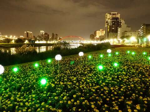 成美左岸河濱公園花海首次嘗試於花海中布置景觀燈飾