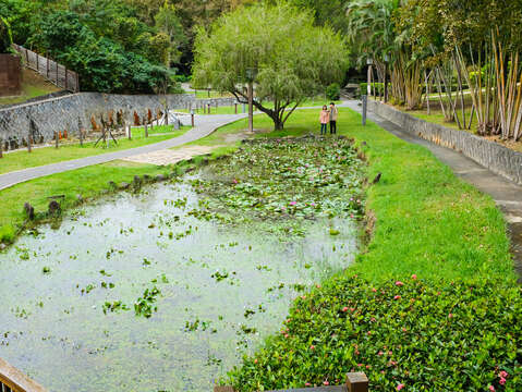 北投圖書館旁有一座蓮花池，狀似臺灣，又稱臺灣池