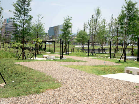 新新公園落雨松水上平台