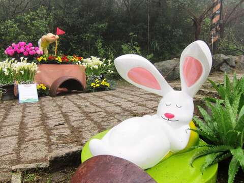 海芋、蘭花爭妍 春天來台北賞花