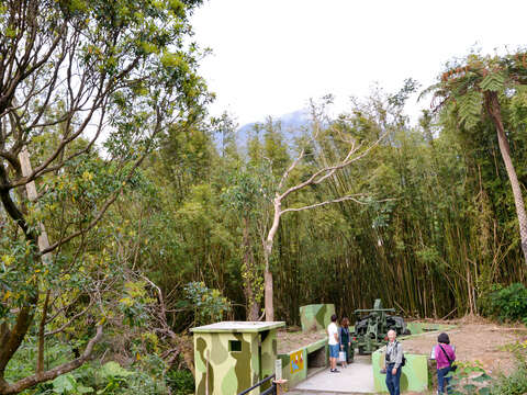 湖山社區春盎然 杜鵑百花齊綻放