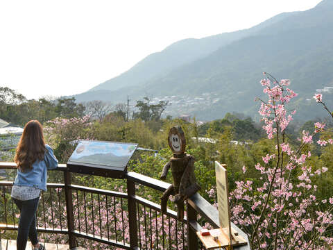 湖山社區春盎然 杜鵑百花齊綻放