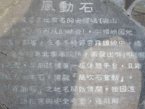 湖山社區春盎然 杜鵑百花齊綻放