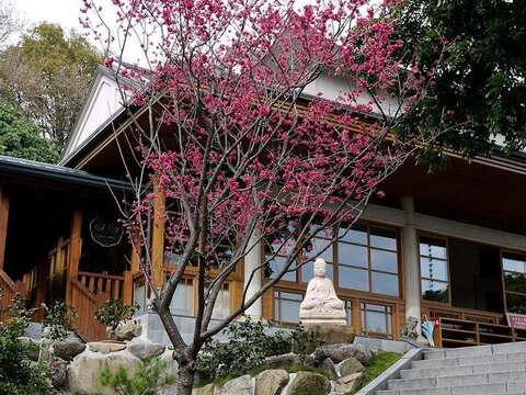 「2016北投桶柑節」尋寶趣系列活動「北投52景~攝影比賽」