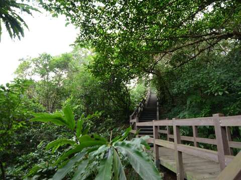 前身是軍事彈藥庫的富陽自然生態公園保留了珍貴的原始生態環境