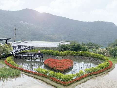 同心池浪漫紅色愛心映入眼簾。