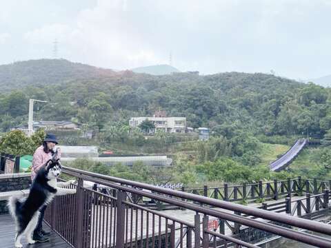 碧山路旁人車分道，遠眺吊橋及周邊山景。