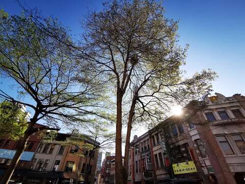 Visit Dadaocheng Park and Learn More about the Neighborhood’s History