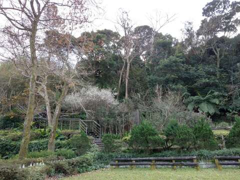茶推廣中心內景緻令人身心舒暢