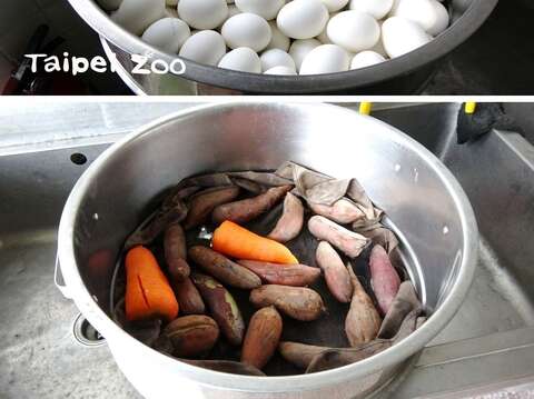 蒸熟的雞蛋、紅蘿蔔和地瓜等食材，動物們非常喜歡