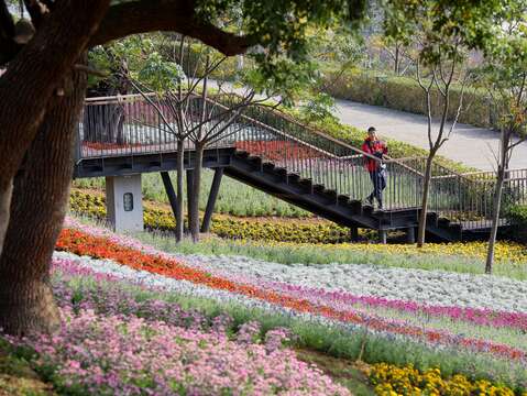 北投社三層崎花海花況