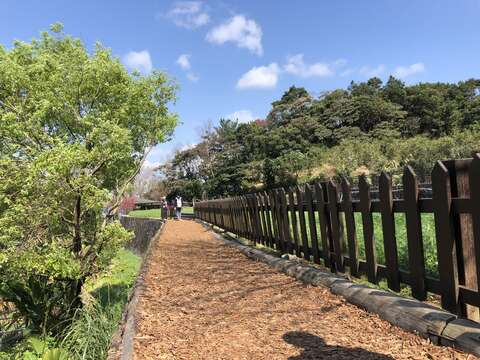 舒適的暖色步道