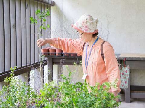 活動現場免費贈送樹苗 歡迎自備環保袋領取 數量有限贈完為止