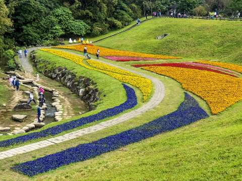 城市裡的祕境花景 大溝溪生態治水園區花海(台北畫刊110年2月)