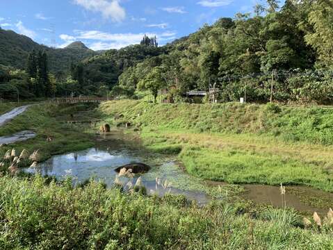 金瑞治水園區 綠樹成蔭 是遊憩好去處