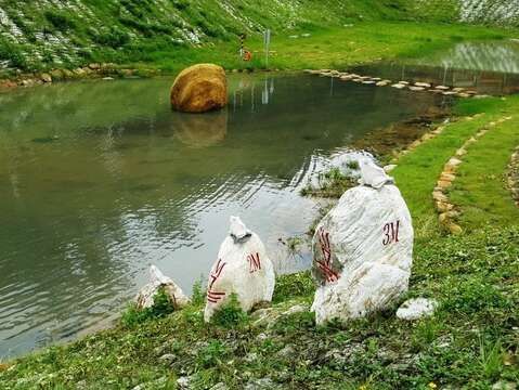 金瑞治水園區 周圍野溪活水源源注入 孕育豐富生態環境
