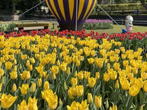 Triển lãm hoa Tulip tại dinh thự Sỹ Lâm 2021