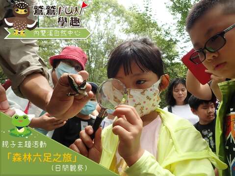 內雙溪_親子主題活動【森林六足之旅(日觀)】
