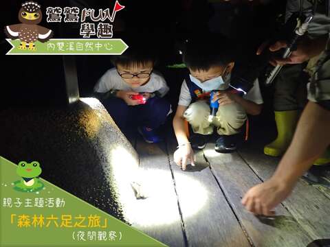 內雙溪_親子主題活動【森林六足之旅(夜觀)】