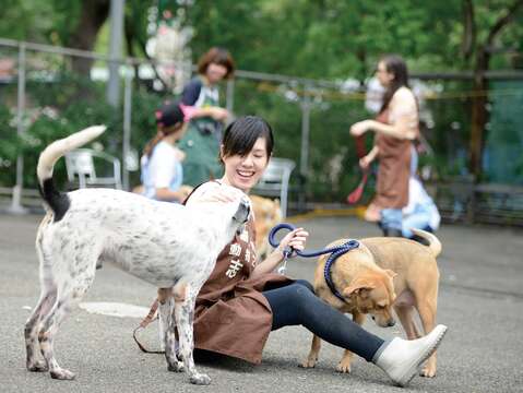 三管齊下安心認養流浪動物(台北畫刊110年3月)