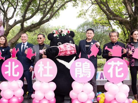 台北杜鵑花季將於3月14日白色情人節登場。
