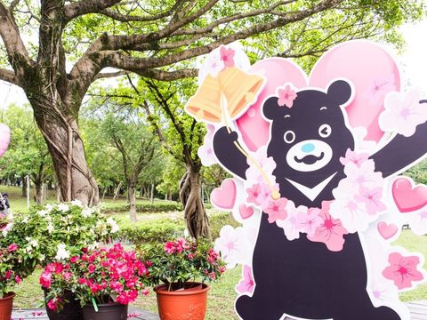 花季期間在大安森林公園可以看見「熊讚杜鵑花園」的美景。