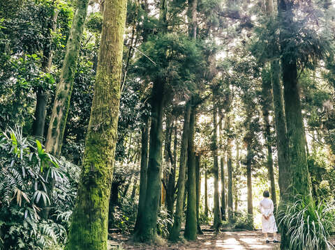 Many secret spots are hidden near famous attractions in Taipei, waiting to be discovered by visitors.
