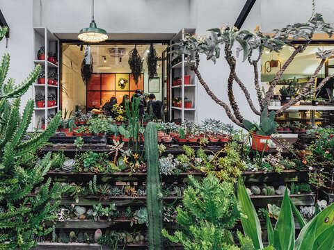 Spring is coming, if you don’t have time for outdoor activities, in Taipei you can also find some indoor corners of greenery. (Photo/Samil Kuo)