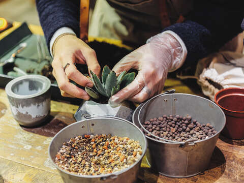 Succulent & Giftでは様々な種類の多肉植物が見つけられるだけでなく、育成方法などの知識も学ぶことができます。(写真 /Samil Kuo)