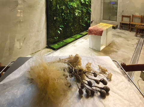 鳳嬌の催化室は様々な紙と壁に設置された苔とが、 都市と自然の中における生活を上手くつなぎ合わせています。(写真/Yenyi Lin)