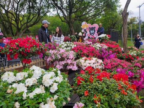 杜鵑花季期間公園內有多處熊讚打卡牌 等著大家一同合影