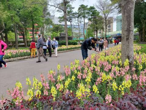搭配季節草花金魚草 進入公園便可感受活潑感