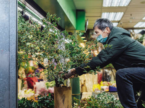 Flowers arrangement and plant freshness checking are indispensable daily tasks of Ching Flowers.