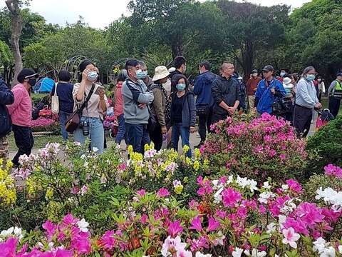 台北杜鵑花季人來人往