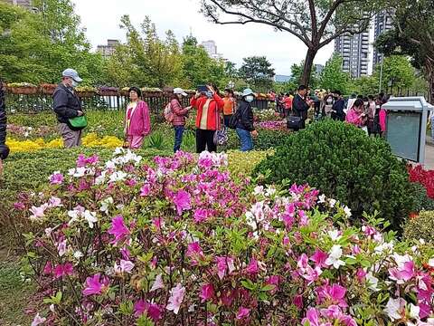 台北杜鵑花季人潮