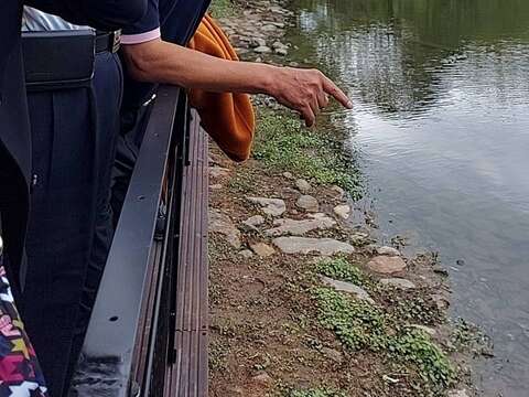 台北杜鵑花季解說