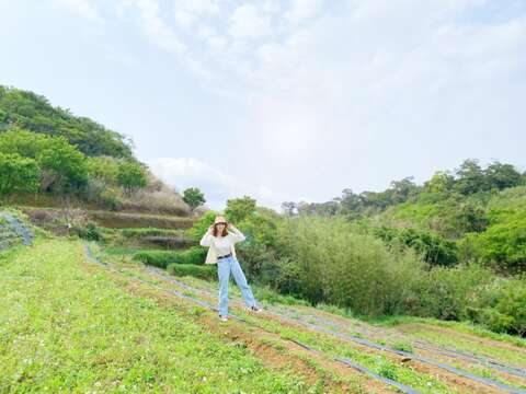 走跳鵝尾山梯田田園環境