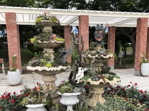 玫瑰園中紅武士玫瑰花與多肉植物搭配成為精緻的端景