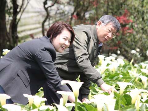 市長、黃副市長與海芋田合影