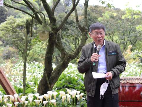柯市長期許海芋能更走向高經濟價值產業發展