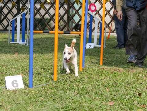 毛小孩開心享受動物友善空間
