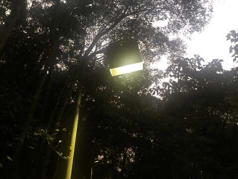 生態區內路燈增設燈罩