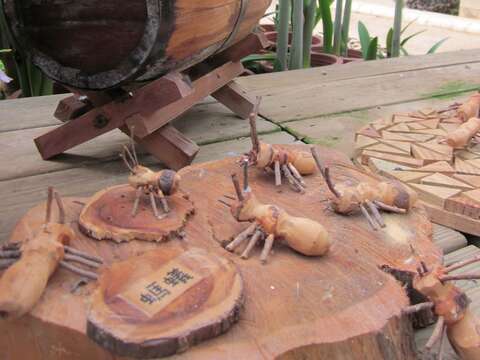 木製螞蟻