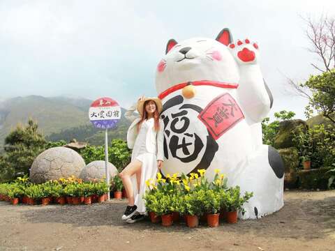 2021竹子湖カラー祭り ロマンチックな地景芸術