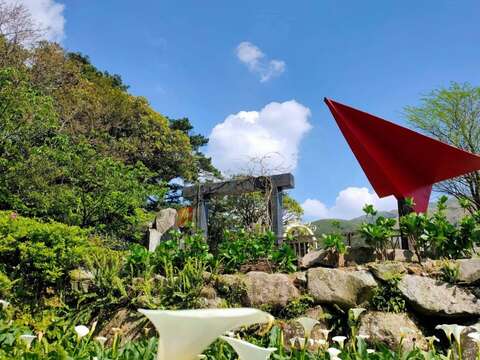 2021竹子湖カラー祭り ロマンチックな地景芸術